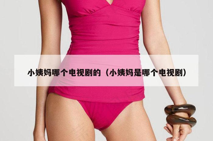 小姨妈哪个电视剧的(小姨妈是哪个电视剧)